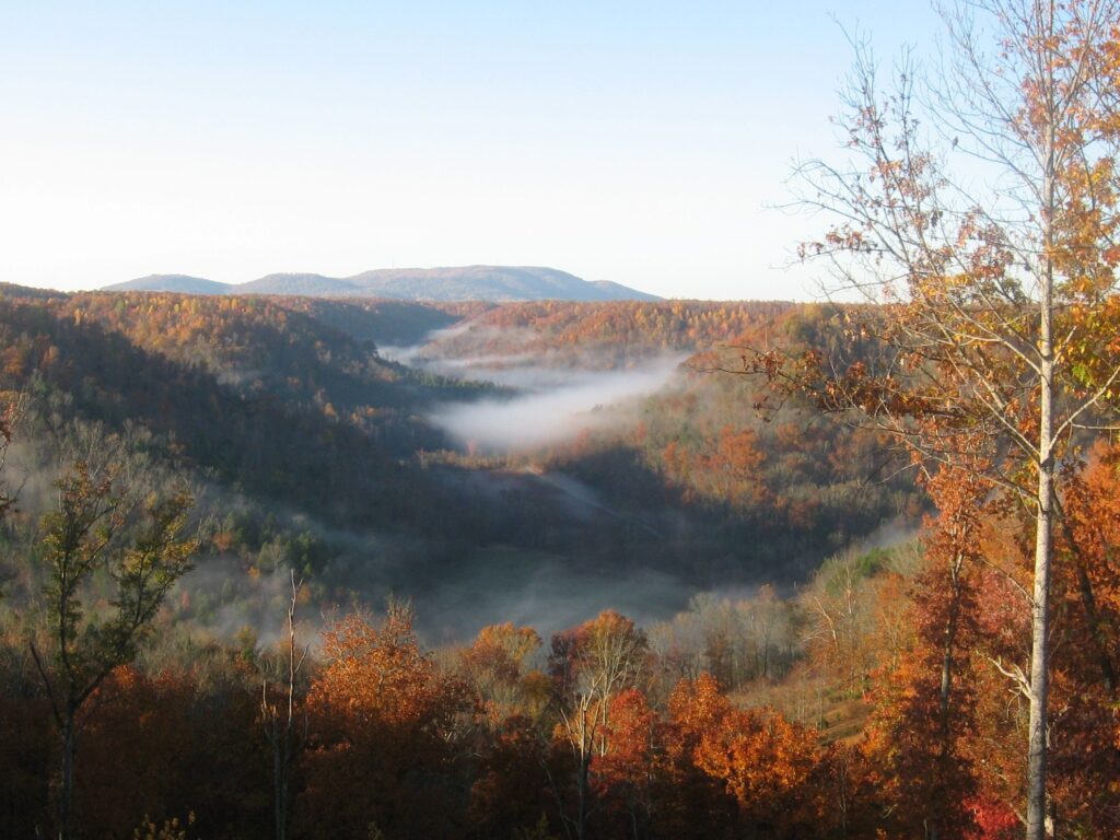 Armenians in Tennessee moving to the south