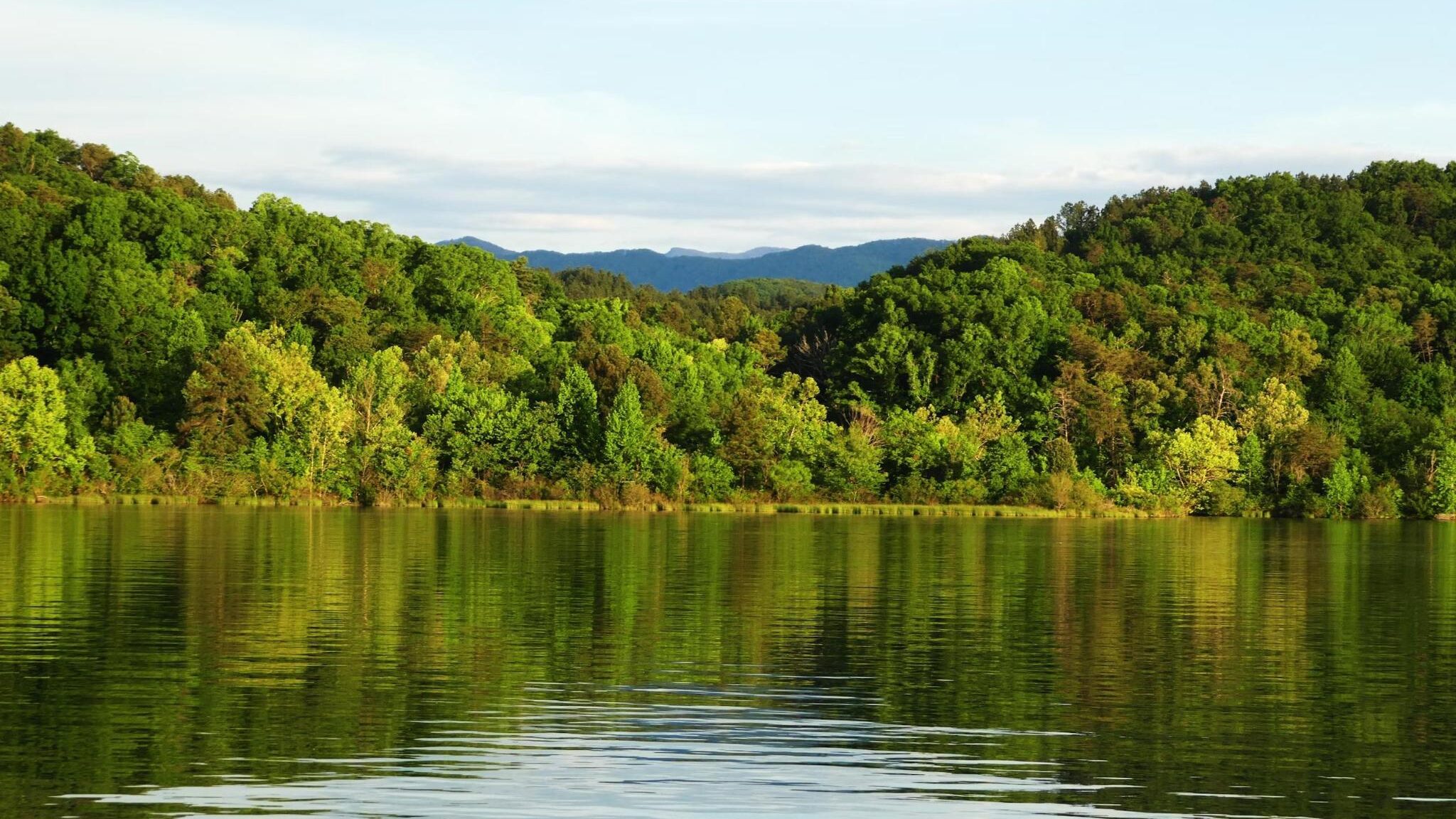 Armenian nature in America