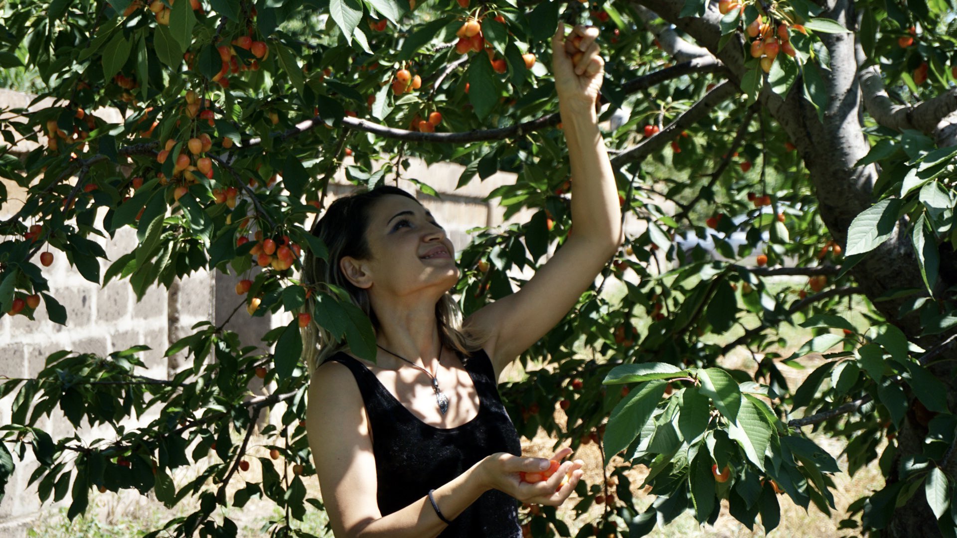 Armenian community in rural USA