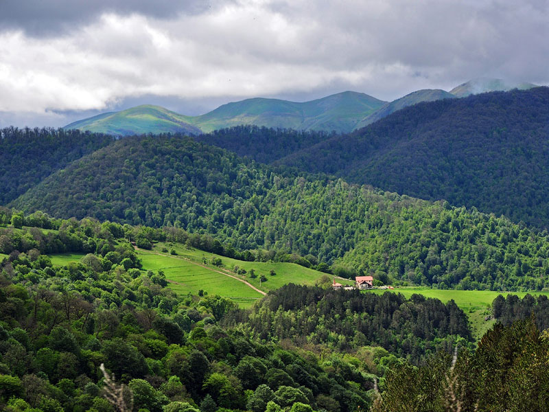 Dilijan in America