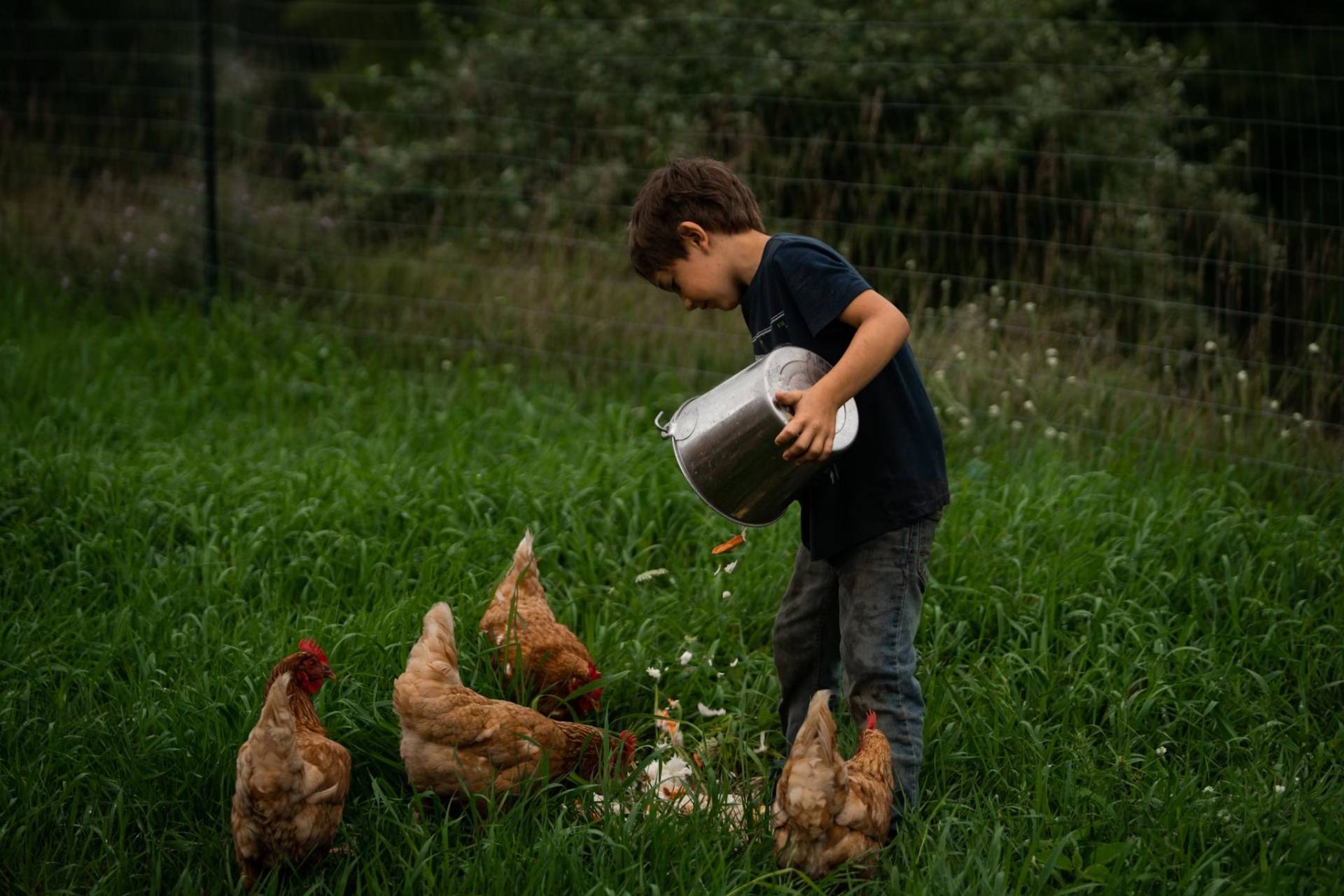 Armenian community rural